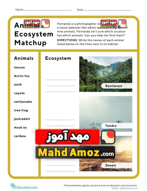 کاربرگ Animal Ecosystem Match-Up