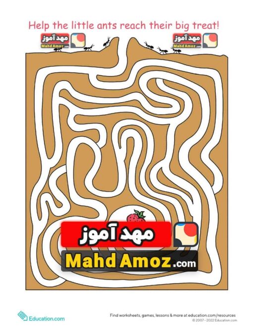 کاربرگ Ant Maze