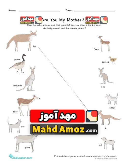 کاربرگ Baby Animals Names