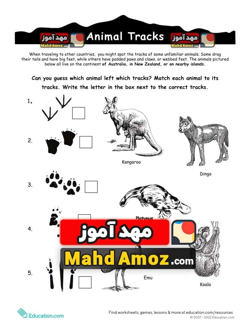 کاربرگ Australian Animal Tracks کاربرگ Australian Animal Tracks