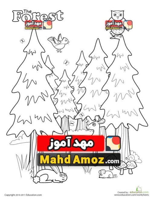کاربرگ Forest Coloring Page