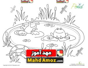 کاربرگ Pond Life Coloring Page
