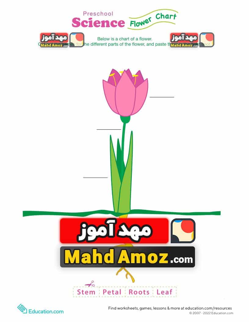 کاربرگ Complete a Flower Fill-In! کاربرگ Complete a Flower Fill-In!