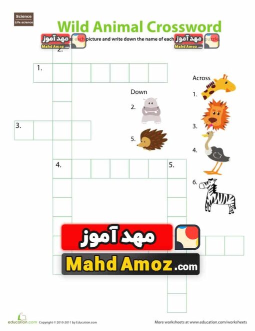 کاربرگ Animal Crossword Puzzle