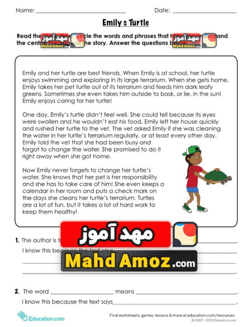 کاربرگ Emily's Turtle