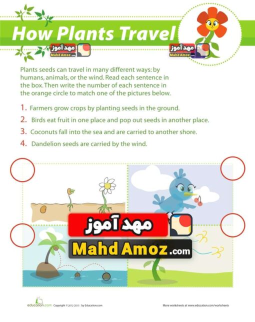 کاربرگ How Seeds Travel