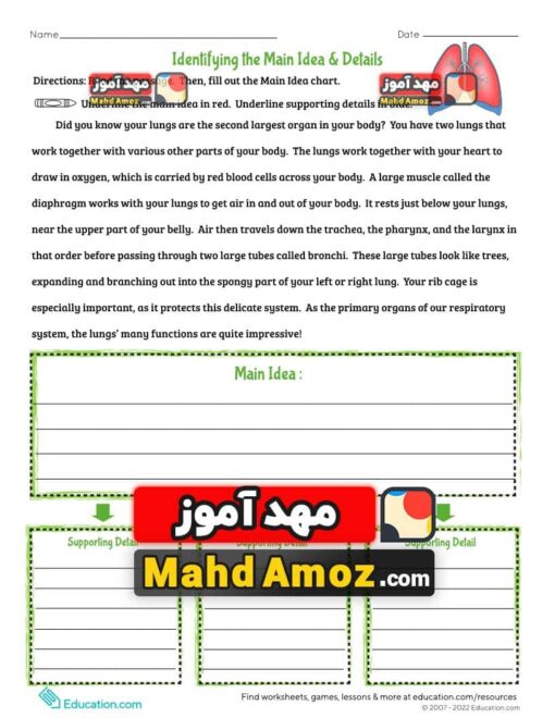 کاربرگ Identifying the Main Idea & Details