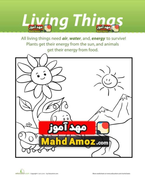 کاربرگ Living Things