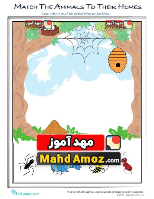 کاربرگ Animals and their Homes