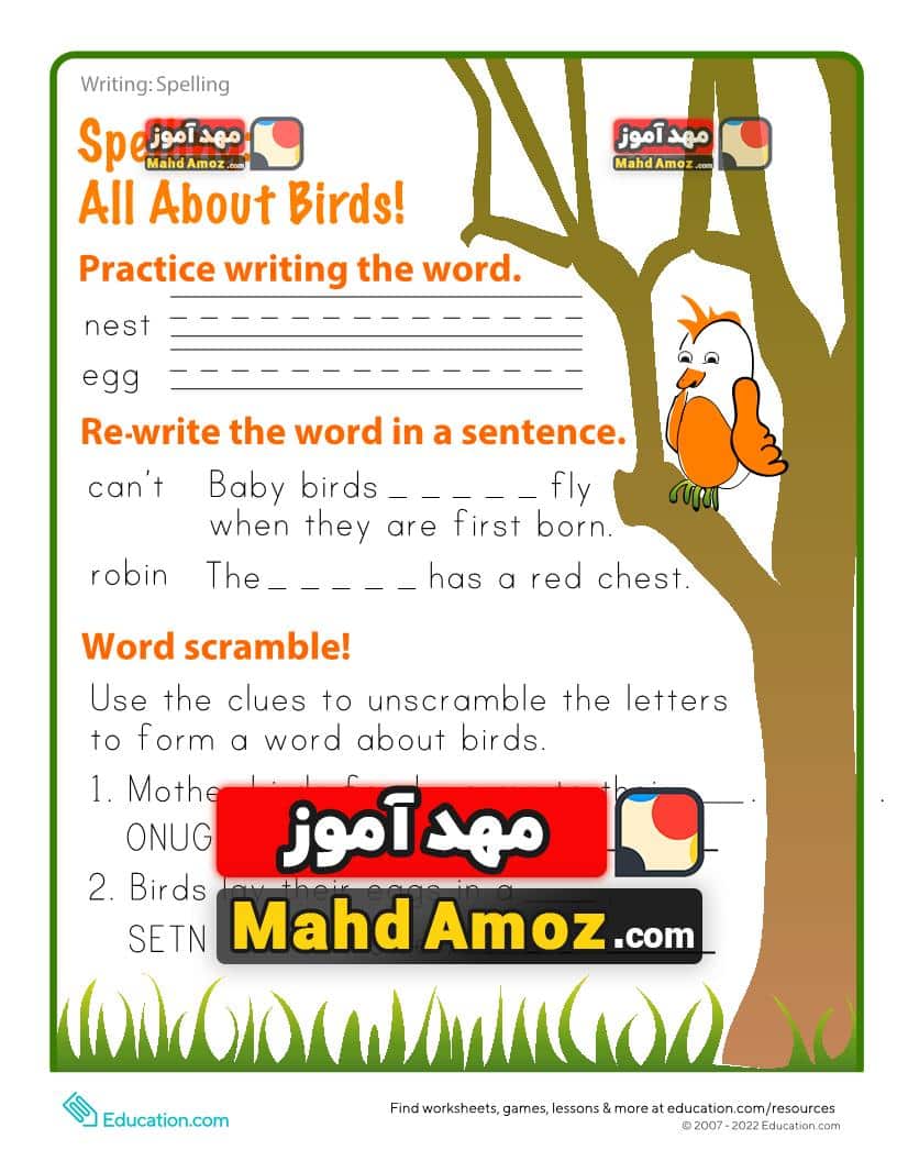 کاربرگ Spring into Spelling: Birds کاربرگ Spring into Spelling: Birds