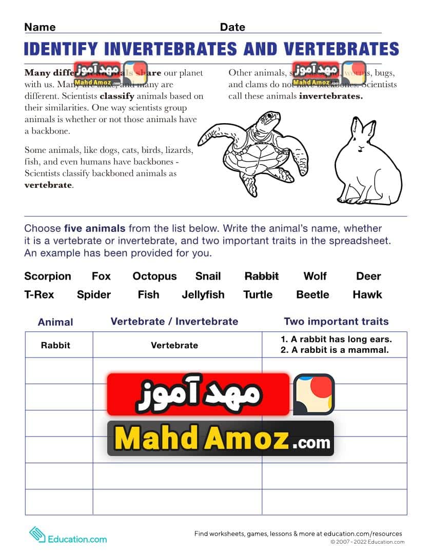 کاربرگ Vertebrates and Invertebrates کاربرگ Vertebrates and Invertebrates