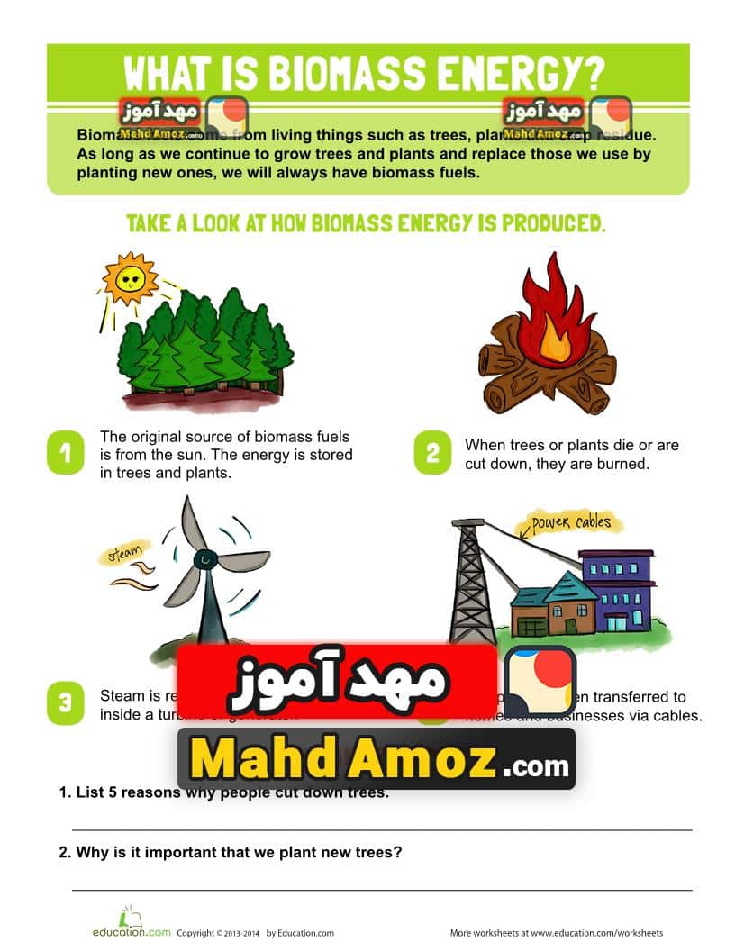 کاربرگ What is Biomass Energy کاربرگ What is Biomass Energy