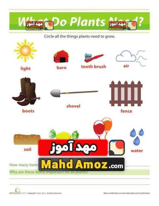 کاربرگ What Plants Need to Survive