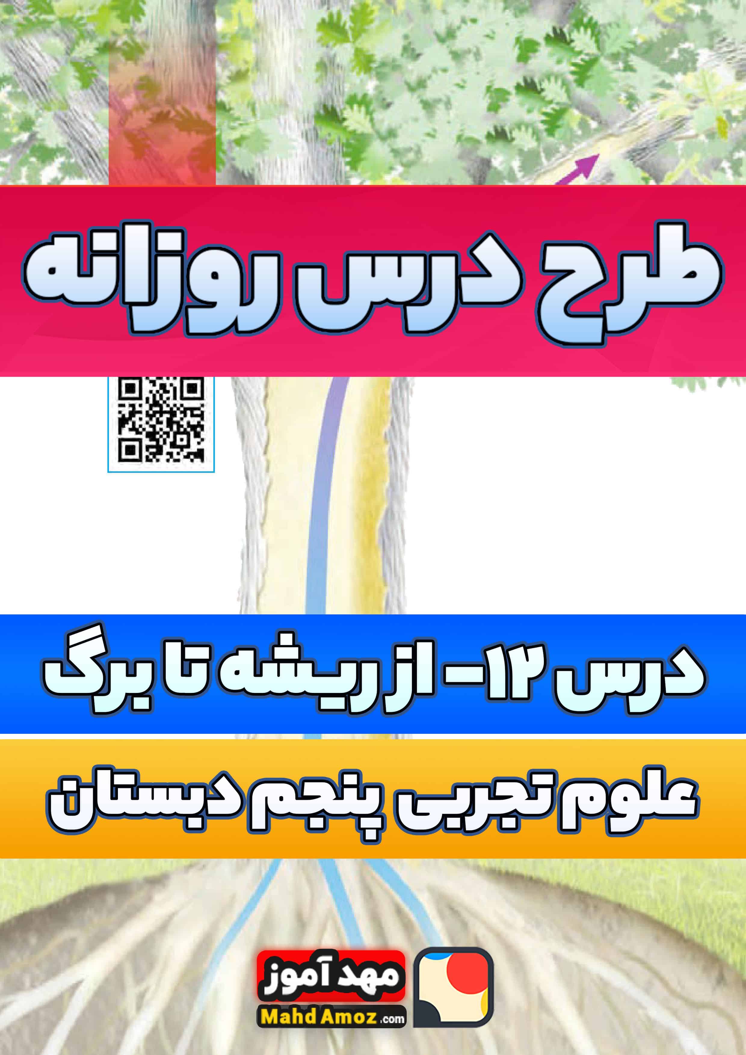 طرح درس روزانه | درس 12 از ریشه تا برگ — علوم تجربی پنجم ابتدایی طرح درس روزانه | درس 12 از ریشه تا برگ — علوم تجربی پنجم ابتدایی
