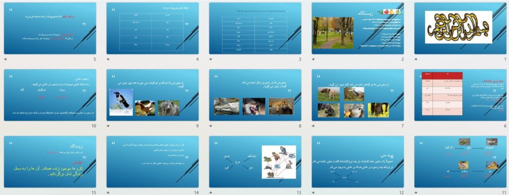 پیش نمایش تصاویر پاورپوینت درس 13 زیستگاه (سری5) — علوم تجربی چهارم دبستان ابتدایی