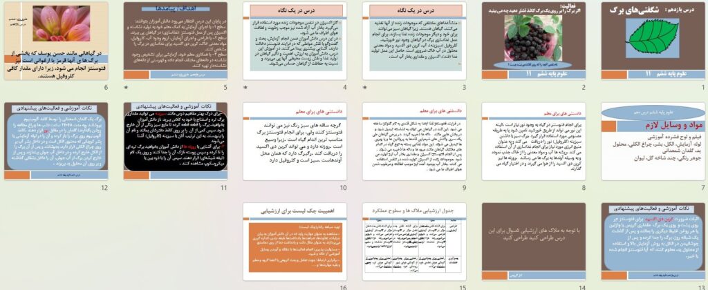 پیش نمایش تصاویر پاورپوینت درس 11 شگفتی های برگ (سری1) — علوم تجربی ششم دبستان ابتدایی