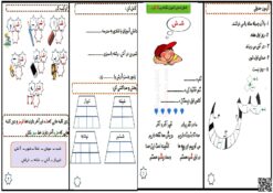 کار در منزل نشانه شـ ش درس 7 فارسی سال اول ابتدایی | با جواب