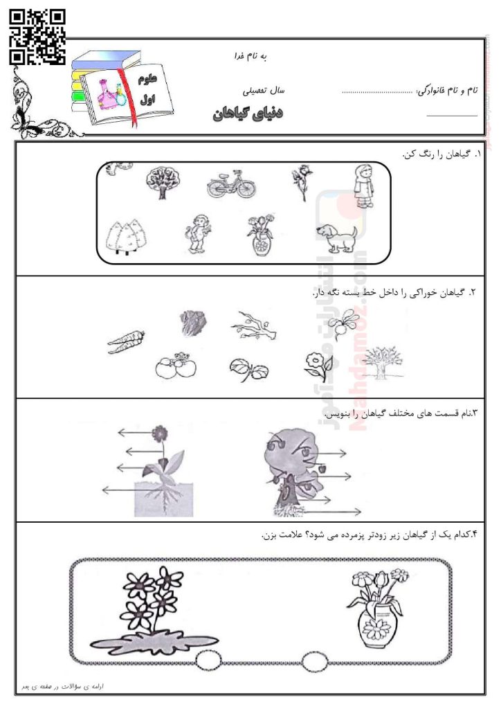 کاربرگ تمرینی و نکات مهم درس 5 دنیای گیاهان علوم تجربی اول ابتدایی