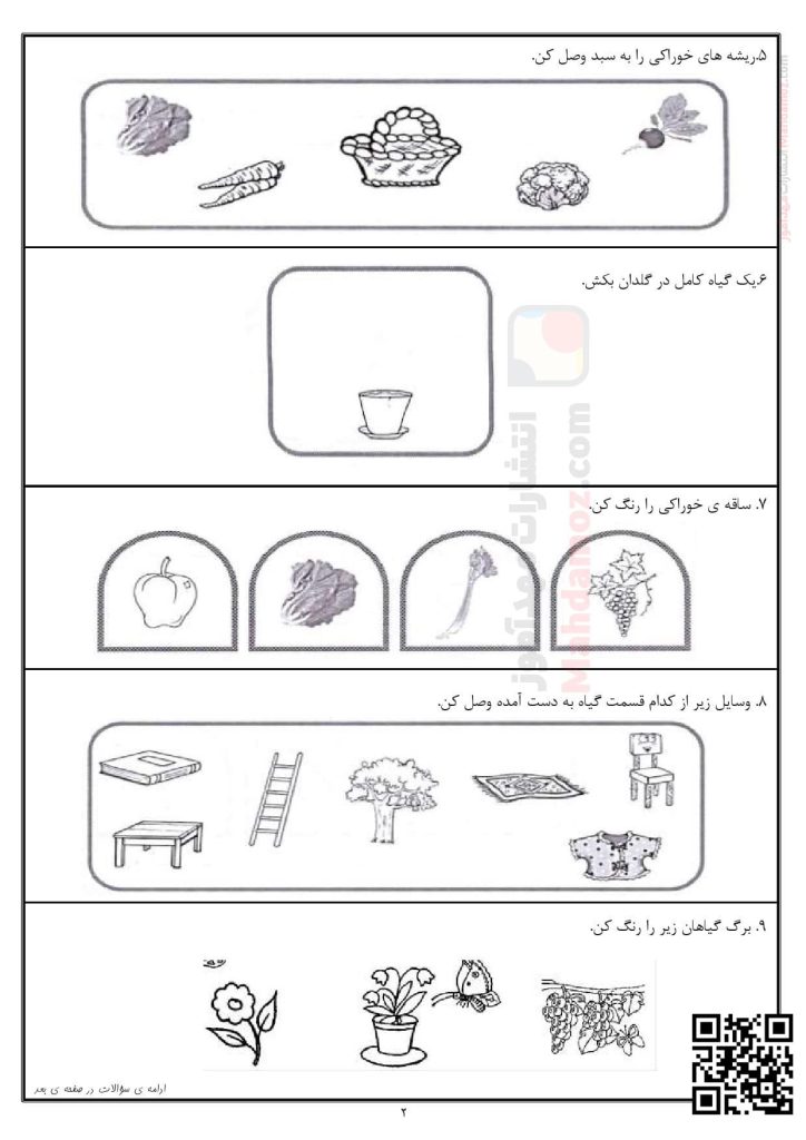 کاربرگ تمرینی و نکات مهم درس 5 دنیای گیاهان علوم تجربی اول ابتدایی