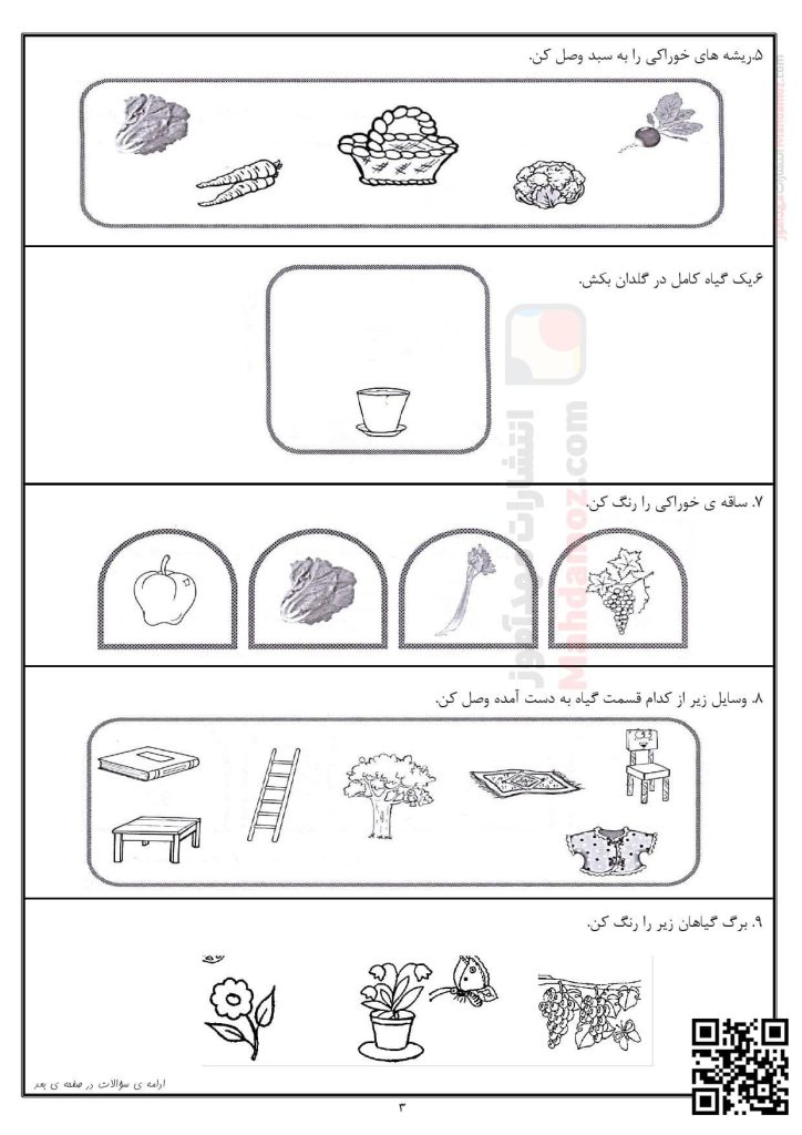 کاربرگ درس 5 دنیای گیاهان علوم تجربی کلاس اول