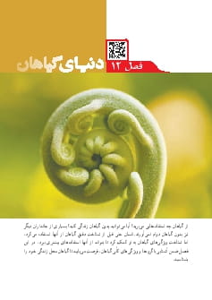 فصل 12 : دنیا گیاهان