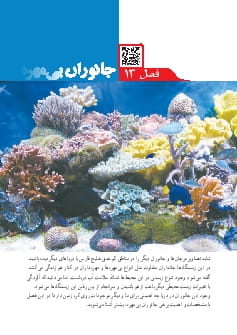 فصل 13 : جانوران بی مهره
