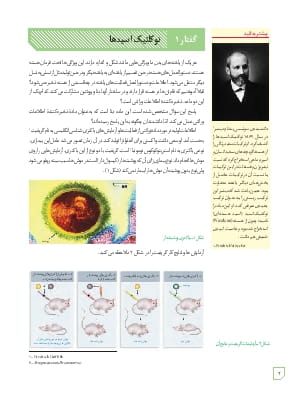 گفتار 1 : نوکئلیک اسید ها