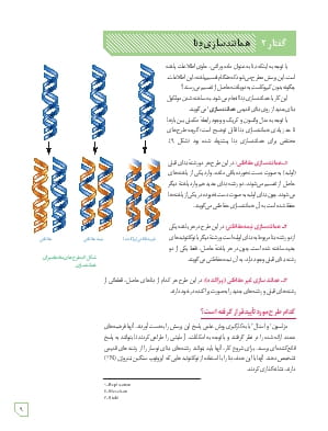 گفتار 2 : همانند سازی دنا