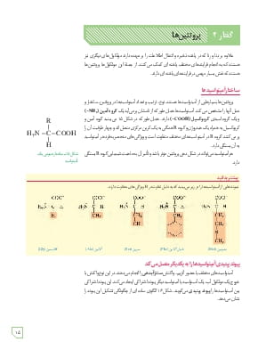 گفتار 3 : پروتئین ها