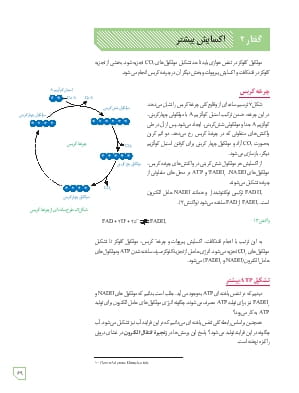 گفتار 2 : اکسایش بیشتر