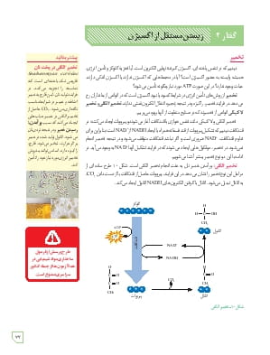 گفتار 3 : زیستن مستقل از اکسیژن
